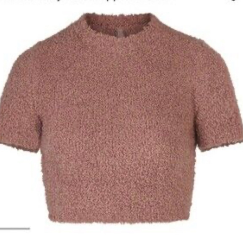 Skims Cozy Knit Crop Mauve Top XXS/XS‎ Turtleneck layered transitional chic